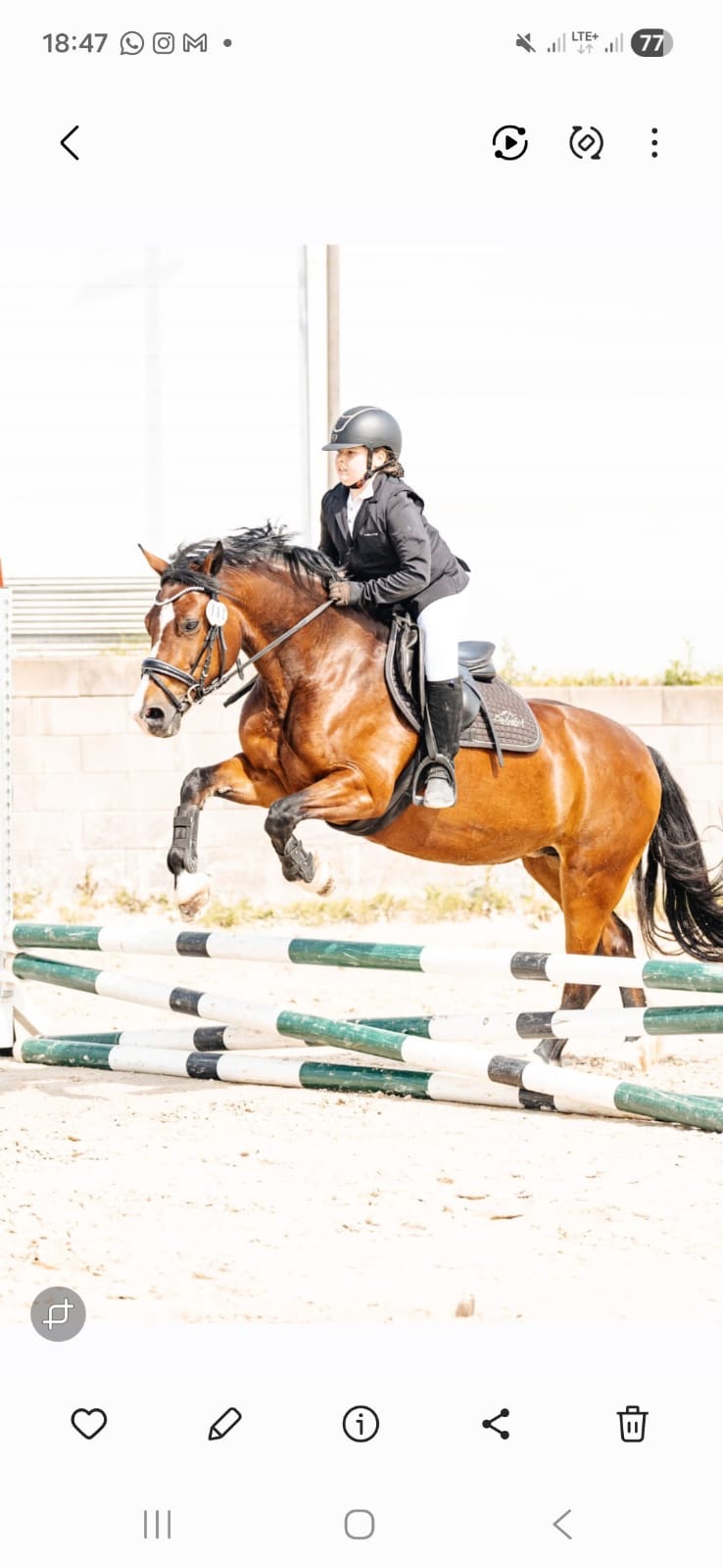 45d7e1b9-081e-42f0-bfc3-6c213b80ba05