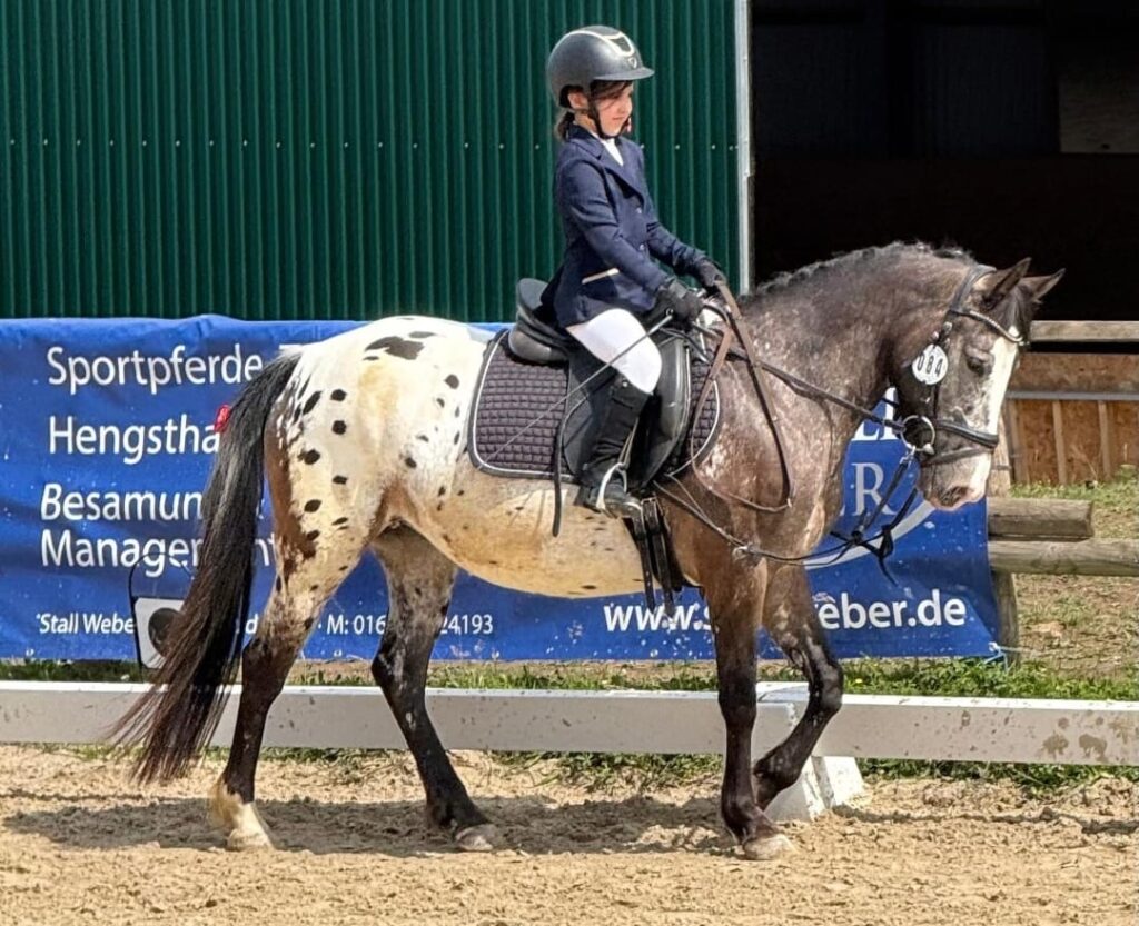 72af25e5 41ee 4775 b3af 303a132993e8