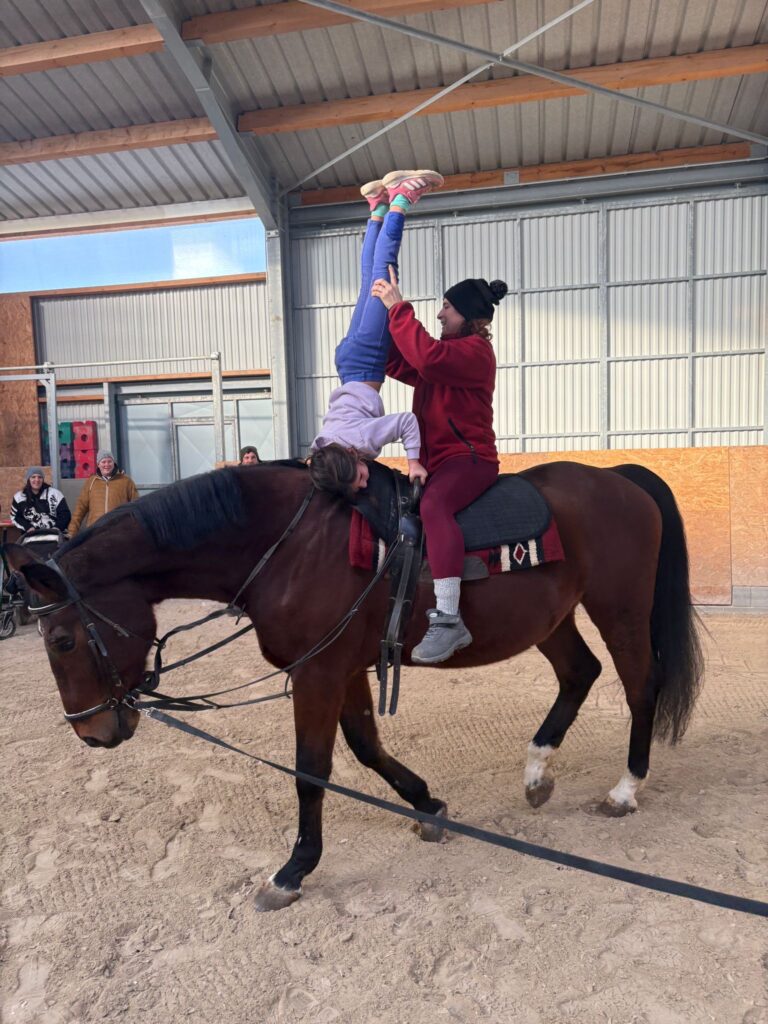 7b40ee61 db0a 49b2 9e4c 0bd843a527ce