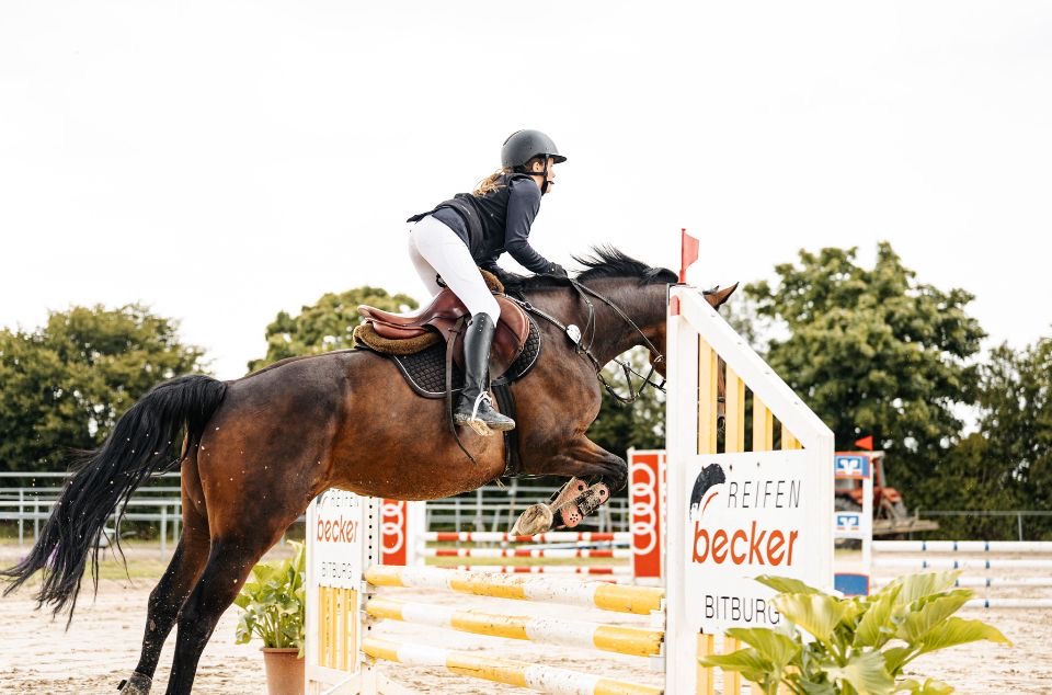 8fad6636-488c-431f-bf42-d3cdb80bd57b