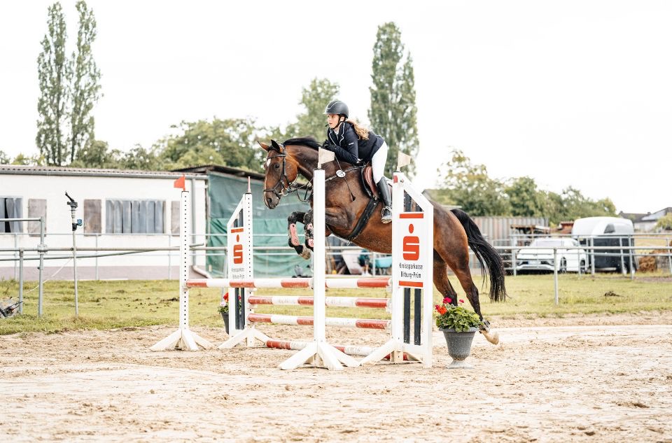 b9297f46-aae6-4916-a314-ce1f3a8fe455