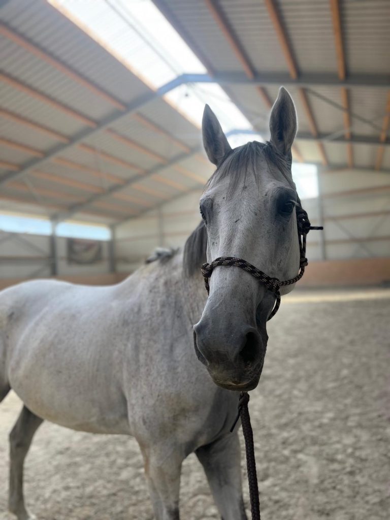 d0b2d004-8220-4292-80a7-91aeaaf4c12c